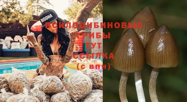 таблы Алексеевка
