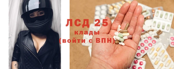 молекула духа Сосновка