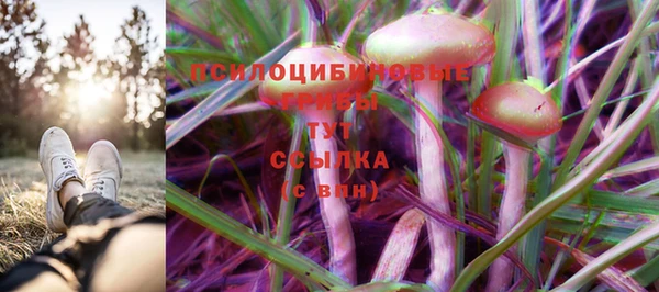 марки lsd Алзамай